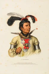 A WINNEBAGO, from History of the Indian Tribes of North America