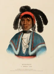 Micanopy, a Seminole Chief, from History of the Indian Tribes of North America