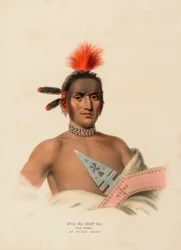Moa-na-hon-ga, Great Walker, an Ioway Chief, from History of the Indian Tribes of North America