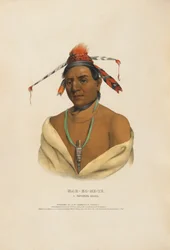 Mar-ko-me-te - A Menominee Warrior