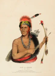 POW-A-SHEEK. A FOX CHIEF