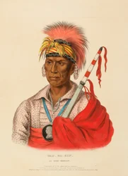 TEH-RO-HON, AN IOWAY WARRIOR, from History of the Indian Tribes of North America