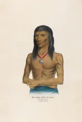 Wa-bish-kee-pe-nas - The White Pigeon