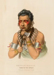 Young Ma-Has-Kah, Chief of the Ioways, from History of the Indian Tribes of North America