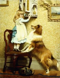Little Girl and her Sheltie