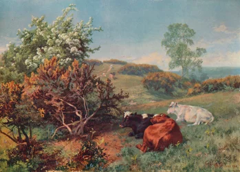 Landscape with Cattle In the Nower, Dorking, c1899