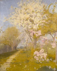 Apple Blossom at Dennemont