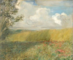 The Cornfield