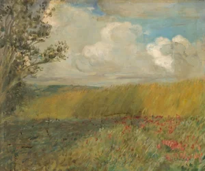 The Cornfield