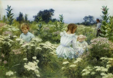Among the Wildflowers