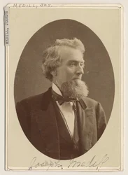 Portrait of Joseph Medill, c.1876