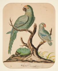 Two Parrots on a Barren Tree