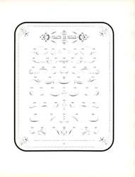 Calligraphic Flourishes and Decorative Elements