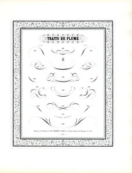 Calligraphic Pen Flourishes with Floral Border