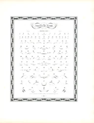 Sample Catalog for Calligraphic Pen Flourishes - First Series