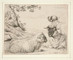 Three Sheep