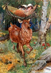 That wonderful stag with the hammock