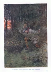 The doer of the deed came leaping from the wood