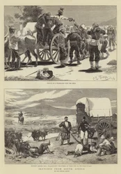 Sketches from South Africa