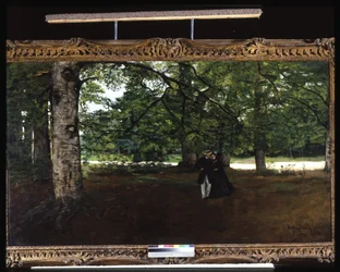 Promenade In The Woods