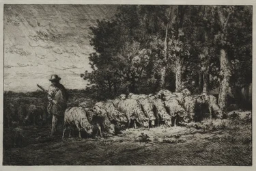 A Herd at the Edge of a Forest