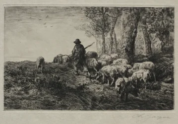 A Herd of Swine