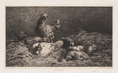 Chickens Poutes