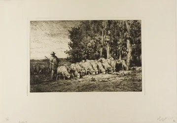 Flock of Sheep at the Edge of a Wood