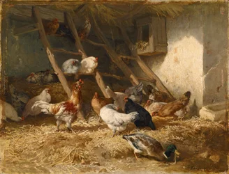 Chickens