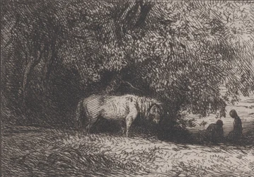Horse Under a Tree Branch, 1846