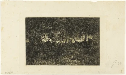 In the Forest