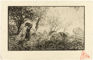 Landscape and Animals