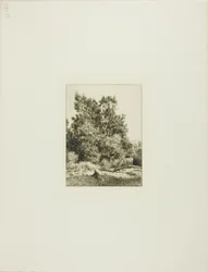 Landscape with Cowherd
