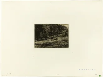 Orchard