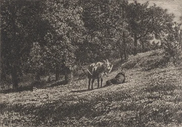 Orchard