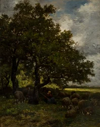 Rural landscape