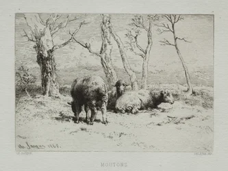 Sheep, 1868
