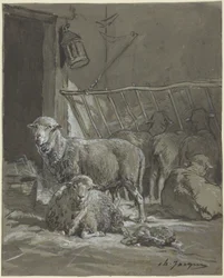 Sheep in a Manger