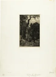 Shooting Woodcock