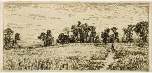 Wheat Field