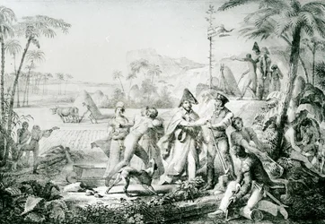 Only the Baytrees will Grow without Cultivation, Illustration for General Lallemand at Champ d