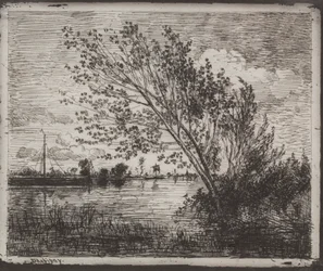 A Cluster of Alders
