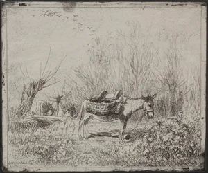 A Donkey in the Field