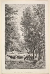 A Stream in the Mondois Valley