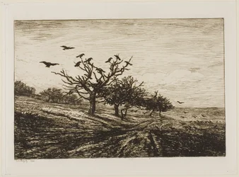 Crows in a Tree