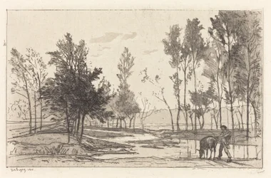 Donkey at a Watering Place