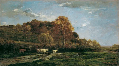 Autumnal Floodplain Landscape