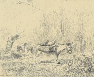 The Donkey in the Meadow
