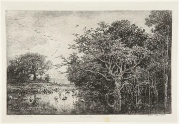 The Marsh with Storks