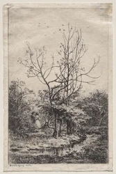The Orchard